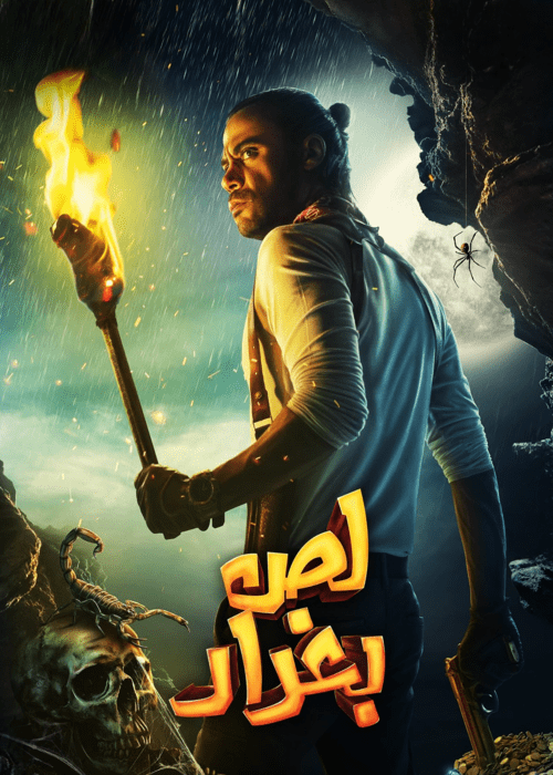 بوستر الفيلم