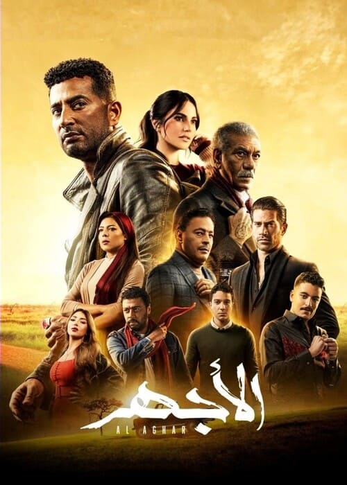 بوستر الفيلم