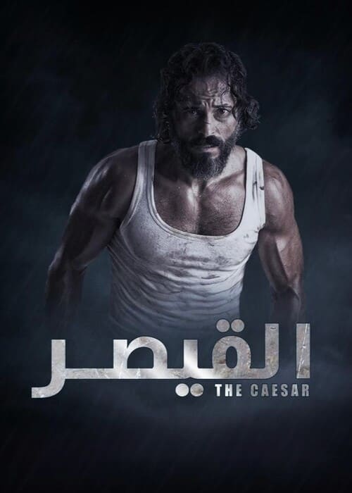 بوستر الفيلم