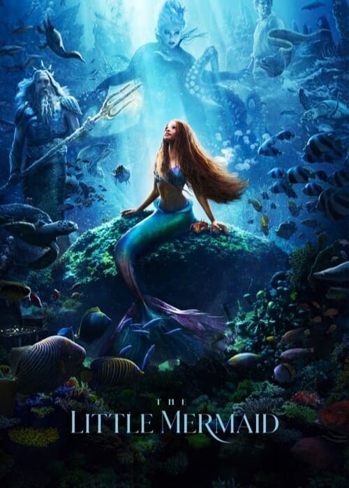 بوستر الفيلم