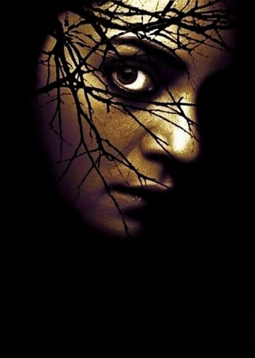 بوستر الفيلم