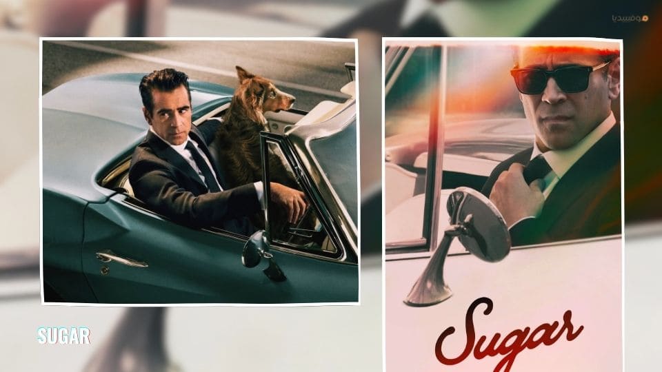 أفضل مسلسلات أجنبية 2024…قائمة بـ 20 مسلسل