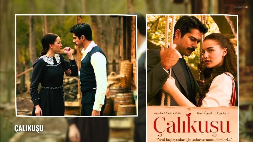 أفضل مسلسلات تركية تاريخية…قائمة بـ 20 مسلسل