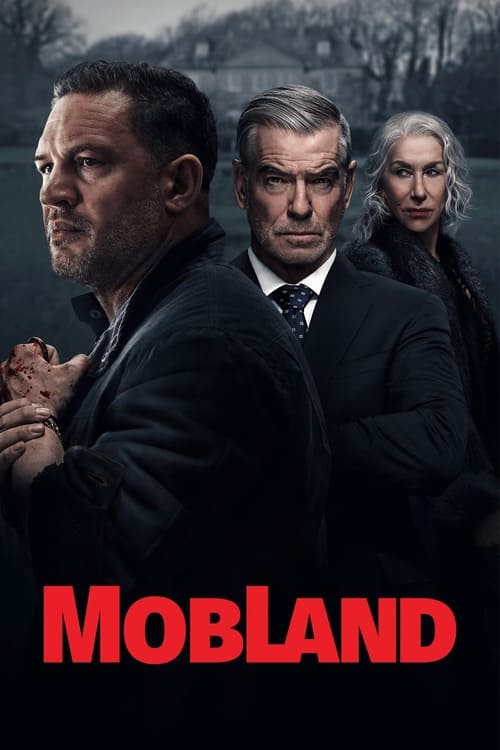 بوستر الفيلم