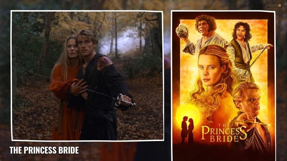 أفضل 15 من أفلام القراصنة على مر العصور