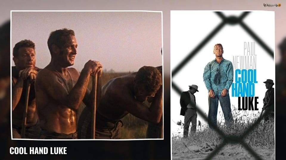 أفضل 10 من أفلام الستينات على الإطلاق