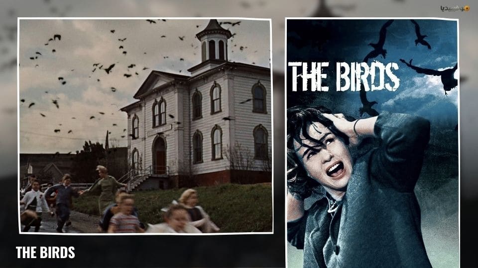 أفضل 10 من أفلام الستينات على الإطلاق